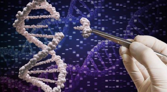 Возможно ли редактировать ген человека?